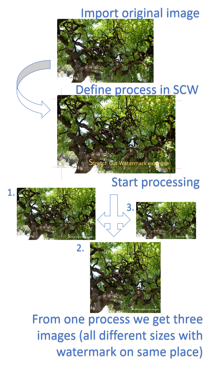 Principal scheme of image processing